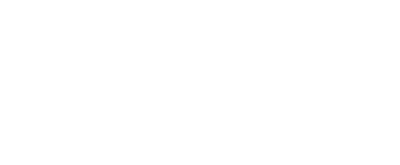 NEDI Negocios Digitales